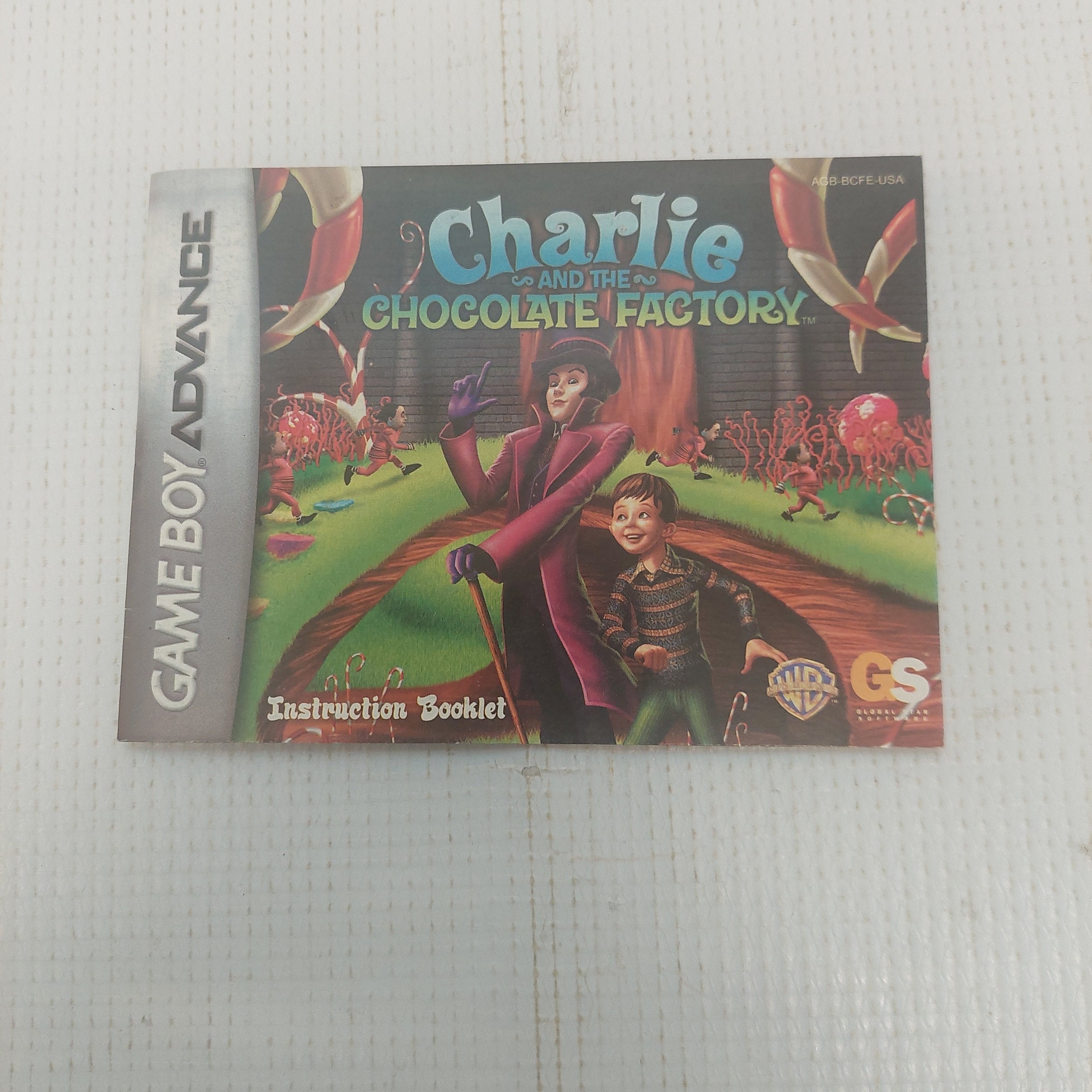 Nintendo Game Boy Advance Charlie and the Chocolate Factory Instruction Manual ONLY