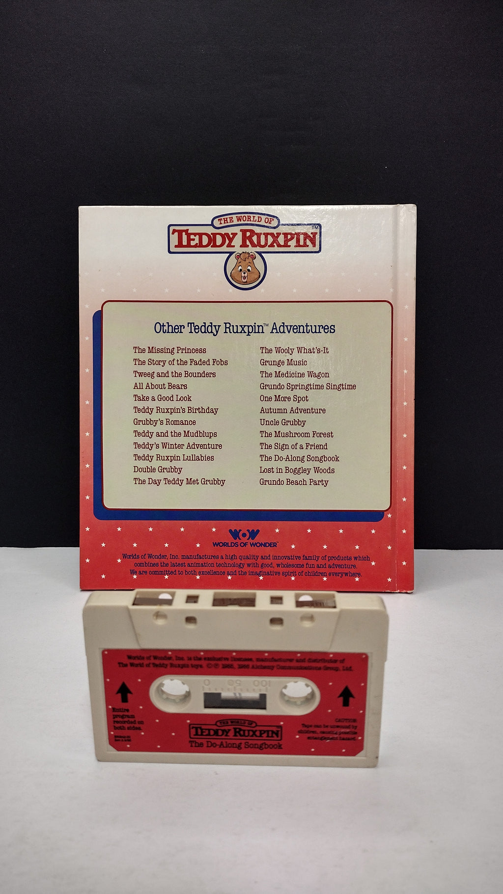 Vintage 1985 Teddy Ruxpin “The Do-Along Songbook” Talking Book & Cassette Tape Set (Worlds of Wonder)