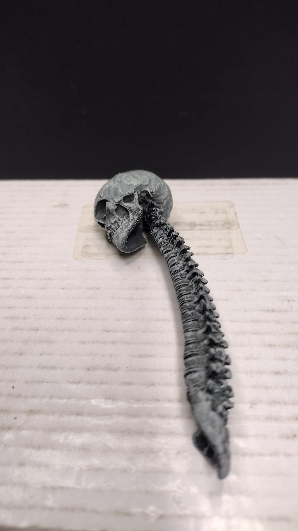 NECA Predator Trophy Skull and Spine Figure Accessory Accessory Piece