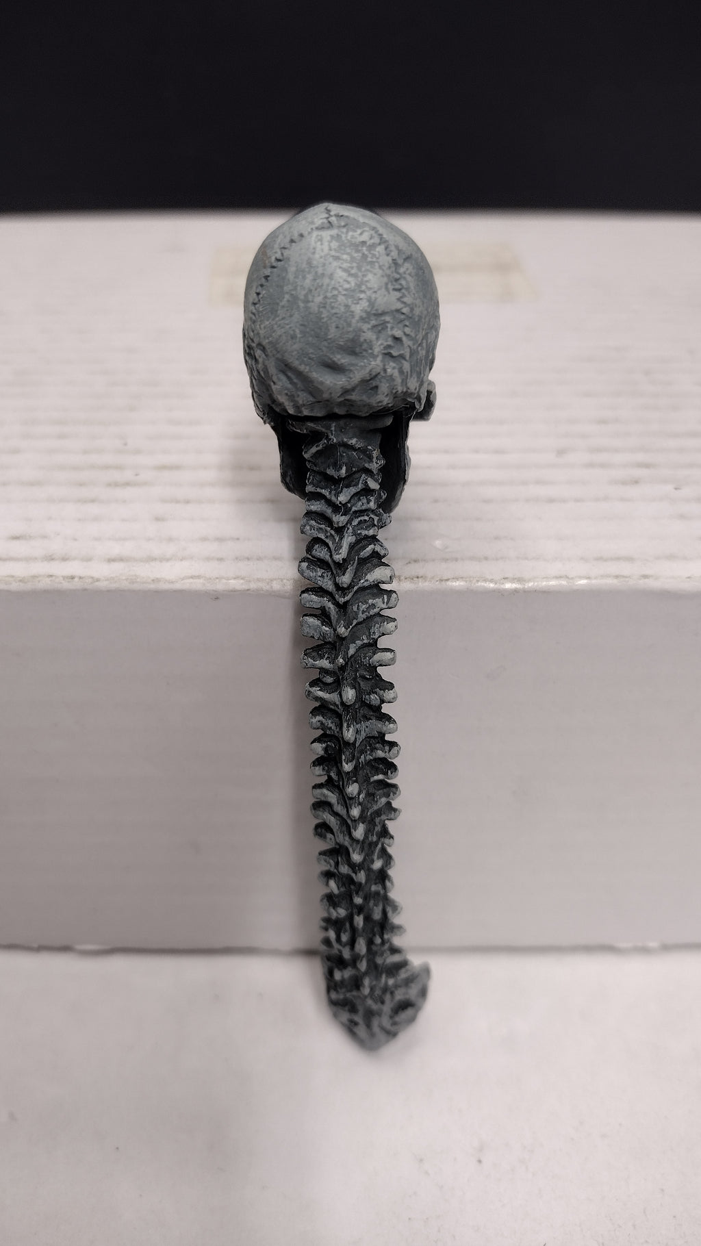 NECA Predator Trophy Skull and Spine Figure Accessory Accessory Piece