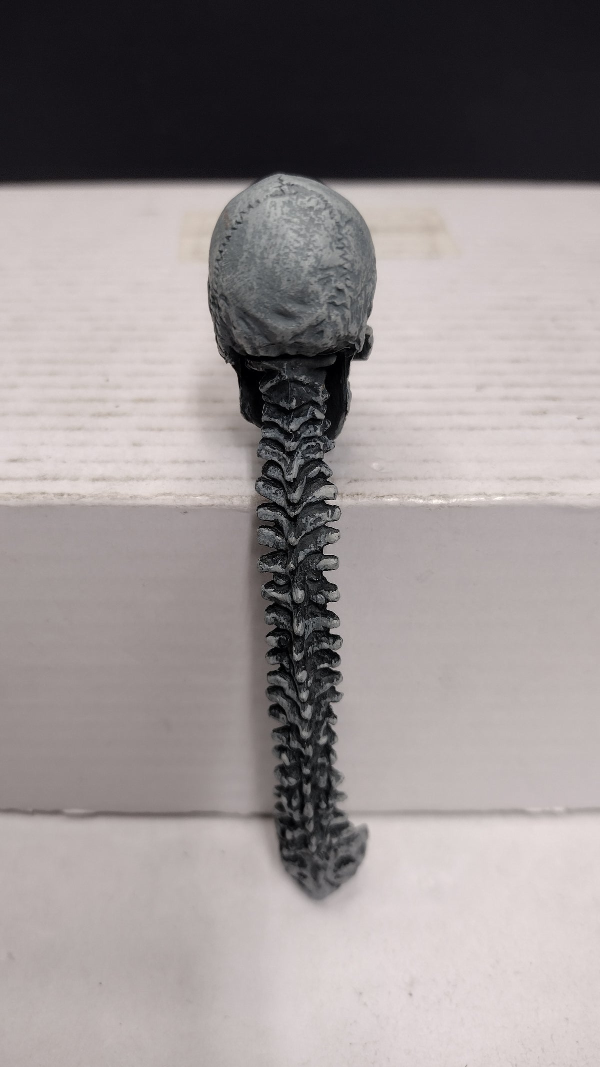 NECA Predator Trophy Skull and Spine Figure Accessory Accessory Piece