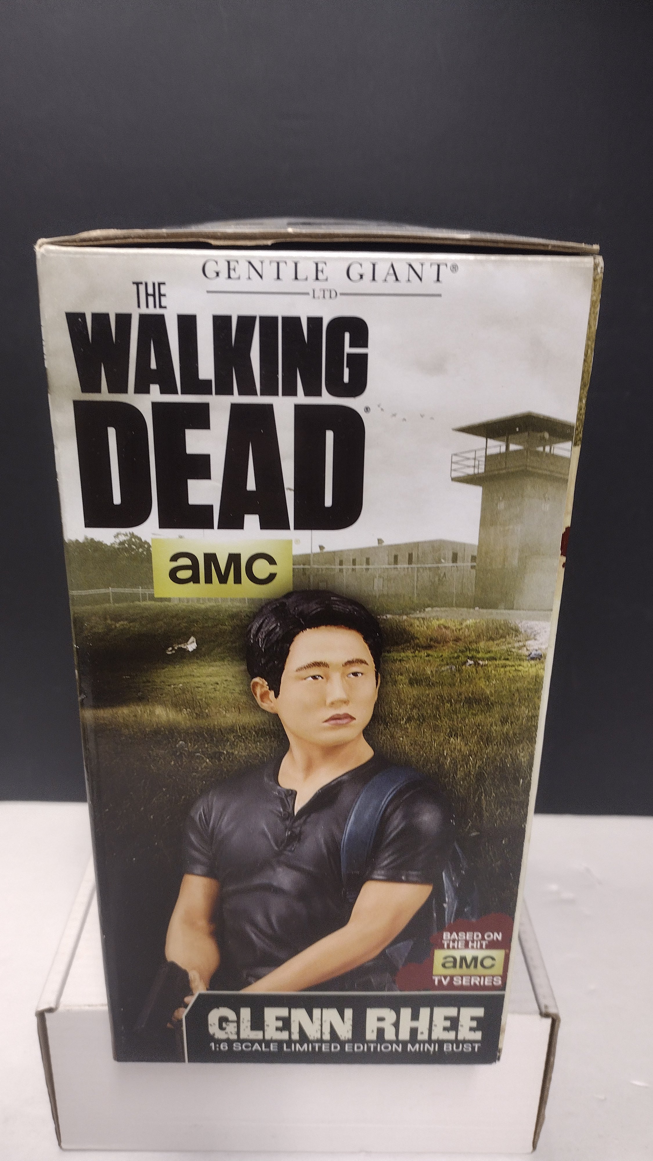 2015 Gentle Giant The Walking Dead Glenn Rhee Limited Edition Mini Bust Statue #106 (Open Box / Great Condition)
