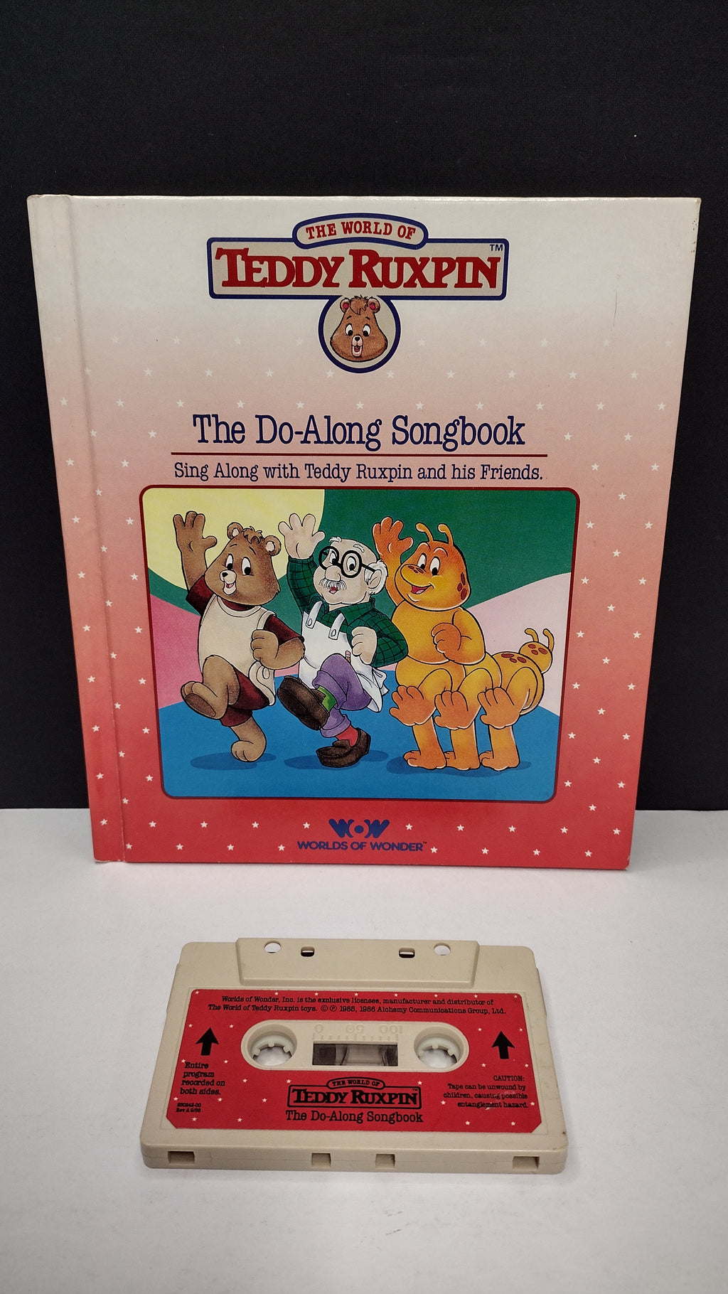 Vintage 1985 Teddy Ruxpin “The Do-Along Songbook” Talking Book & Cassette Tape Set (Worlds of Wonder)