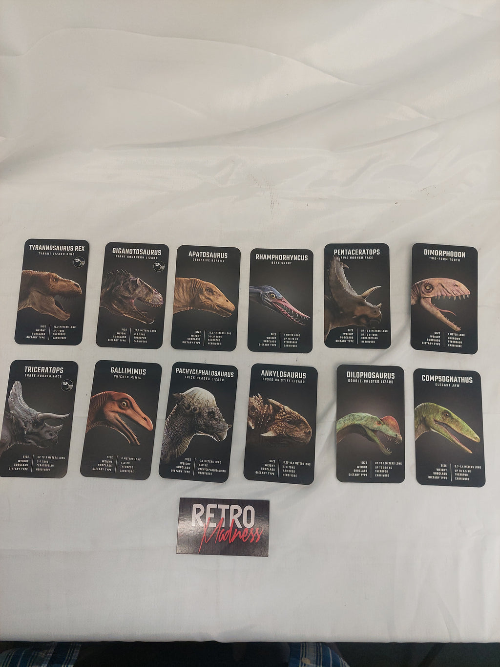 4D+ Dinosaur Experience VR Headset – STEM-Based Education Series (Tested)