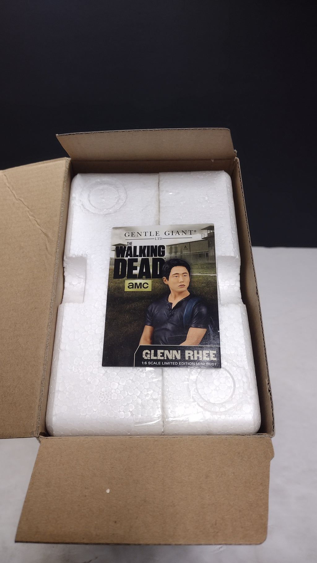 2015 Gentle Giant The Walking Dead Glenn Rhee Limited Edition Mini Bust Statue #106 (Open Box / Great Condition)