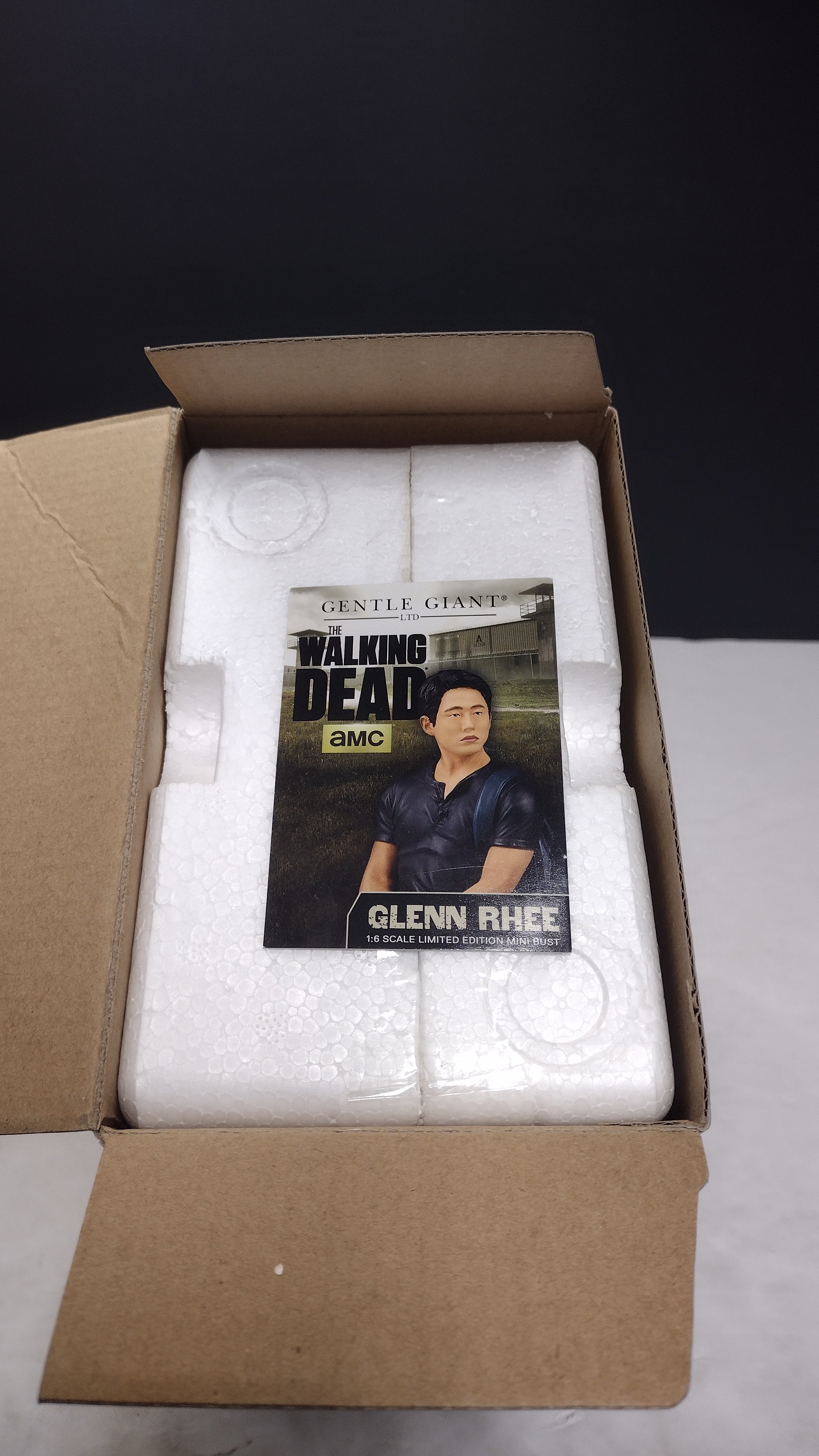 2015 Gentle Giant The Walking Dead Glenn Rhee Limited Edition Mini Bust Statue #106 (Open Box / Great Condition)