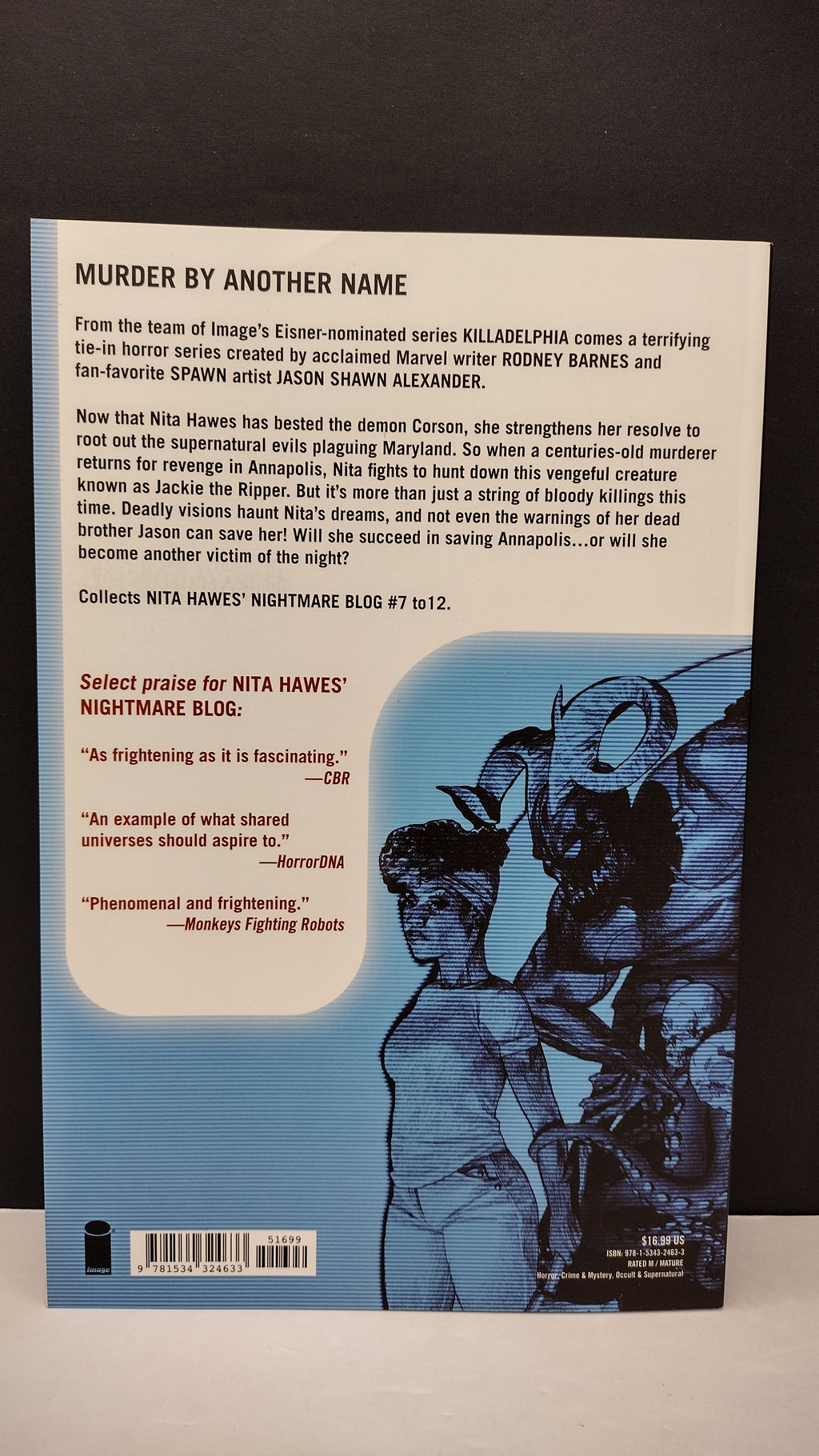 (MATURE) Nita Hawes' Nightmare Blog Volume 2: Murder By Another Name by Rodney Barnes – New Paperback