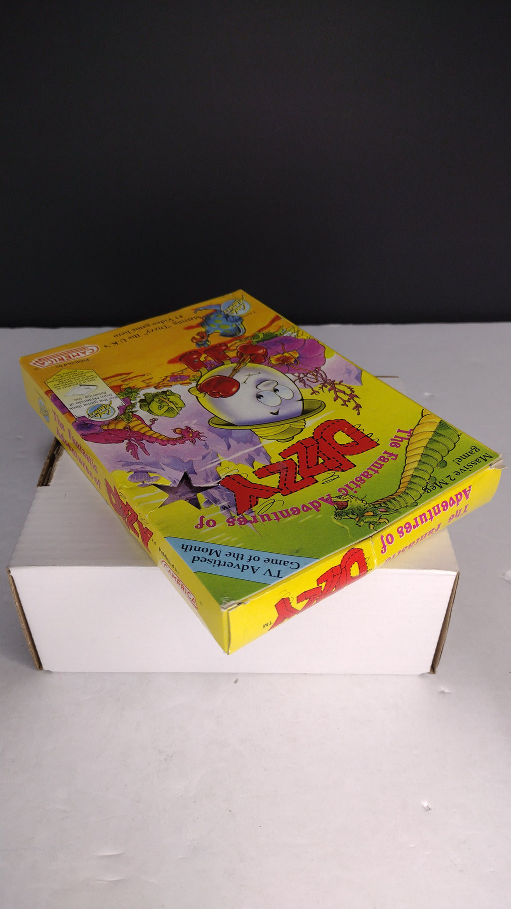 The Fantastic Adeventures of Dizzy: Nintendo  Authentic Box & Manual ONLY