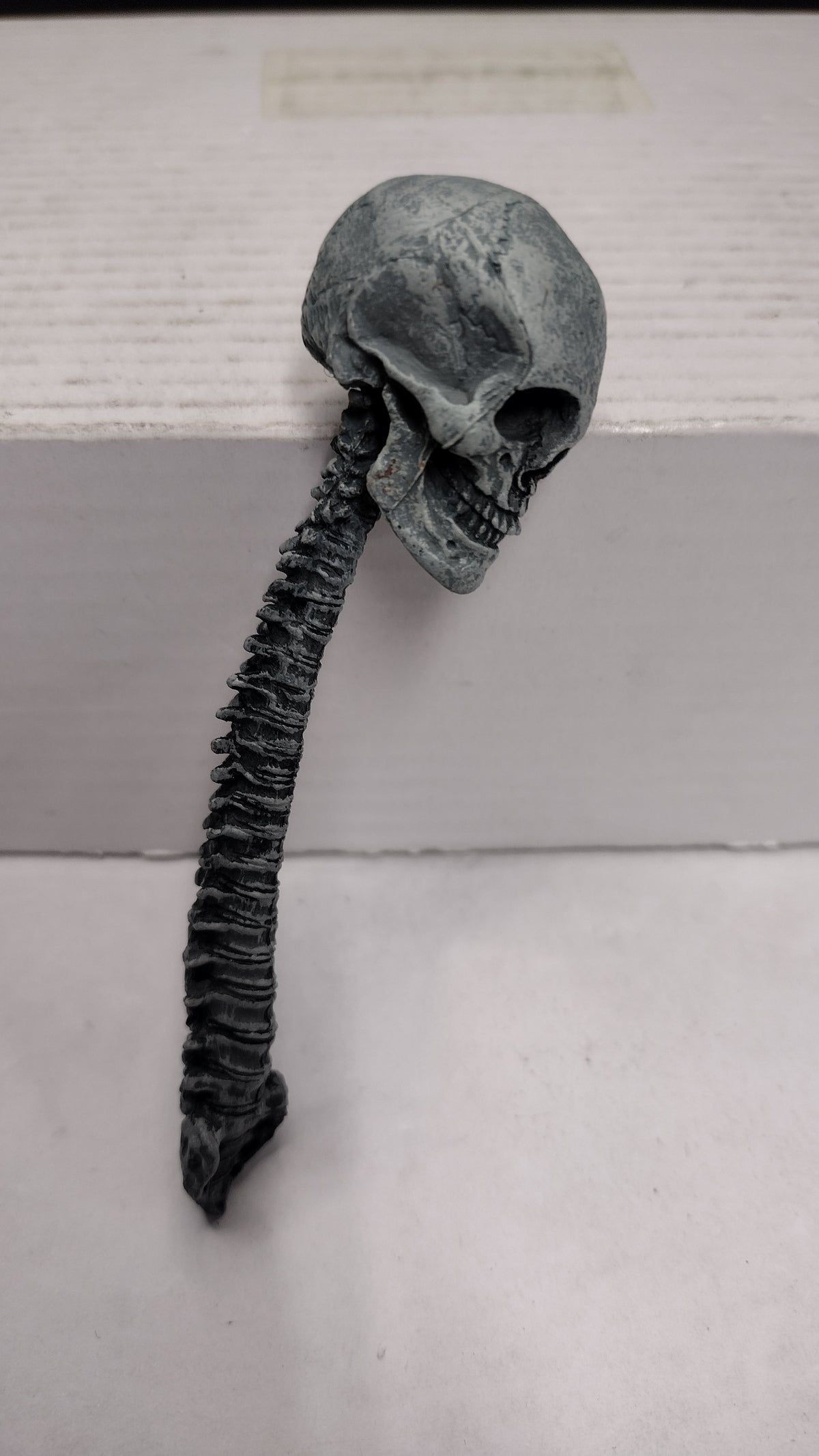 NECA Predator Trophy Skull and Spine Figure Accessory Accessory Piece
