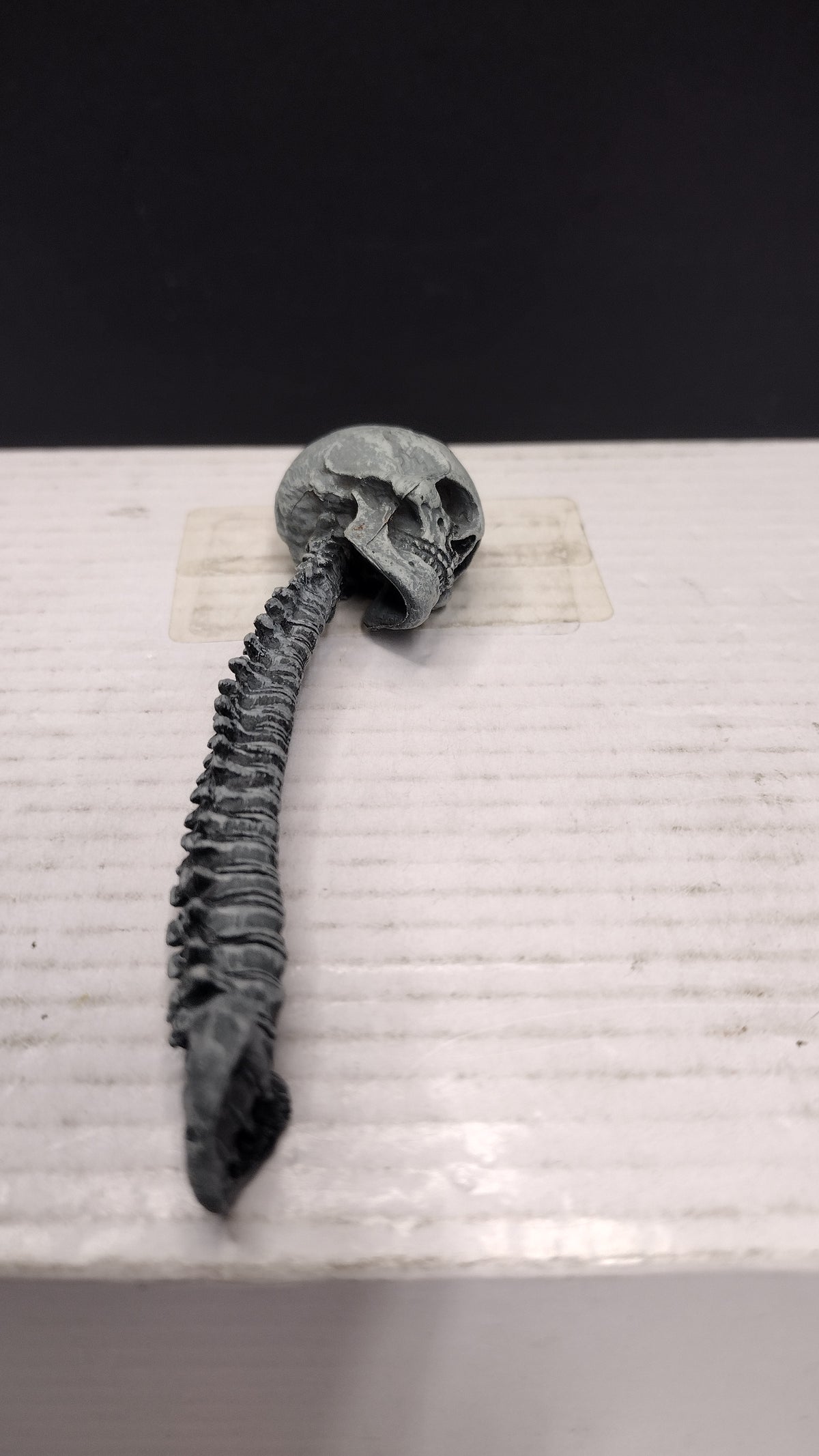 NECA Predator Trophy Skull and Spine Figure Accessory Accessory Piece