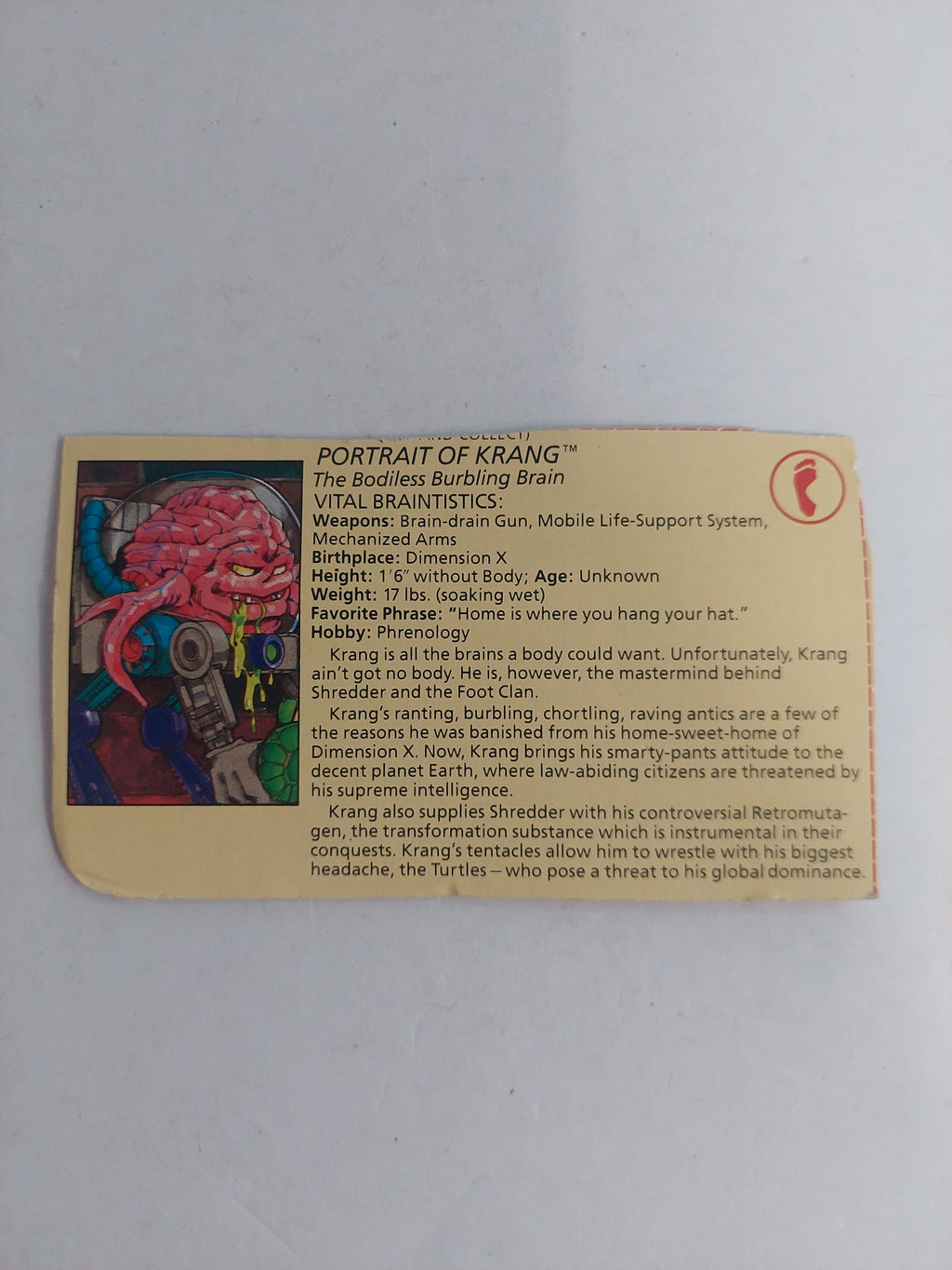 Vintage Teenage Mutant Ninja Turtles Krang File Card