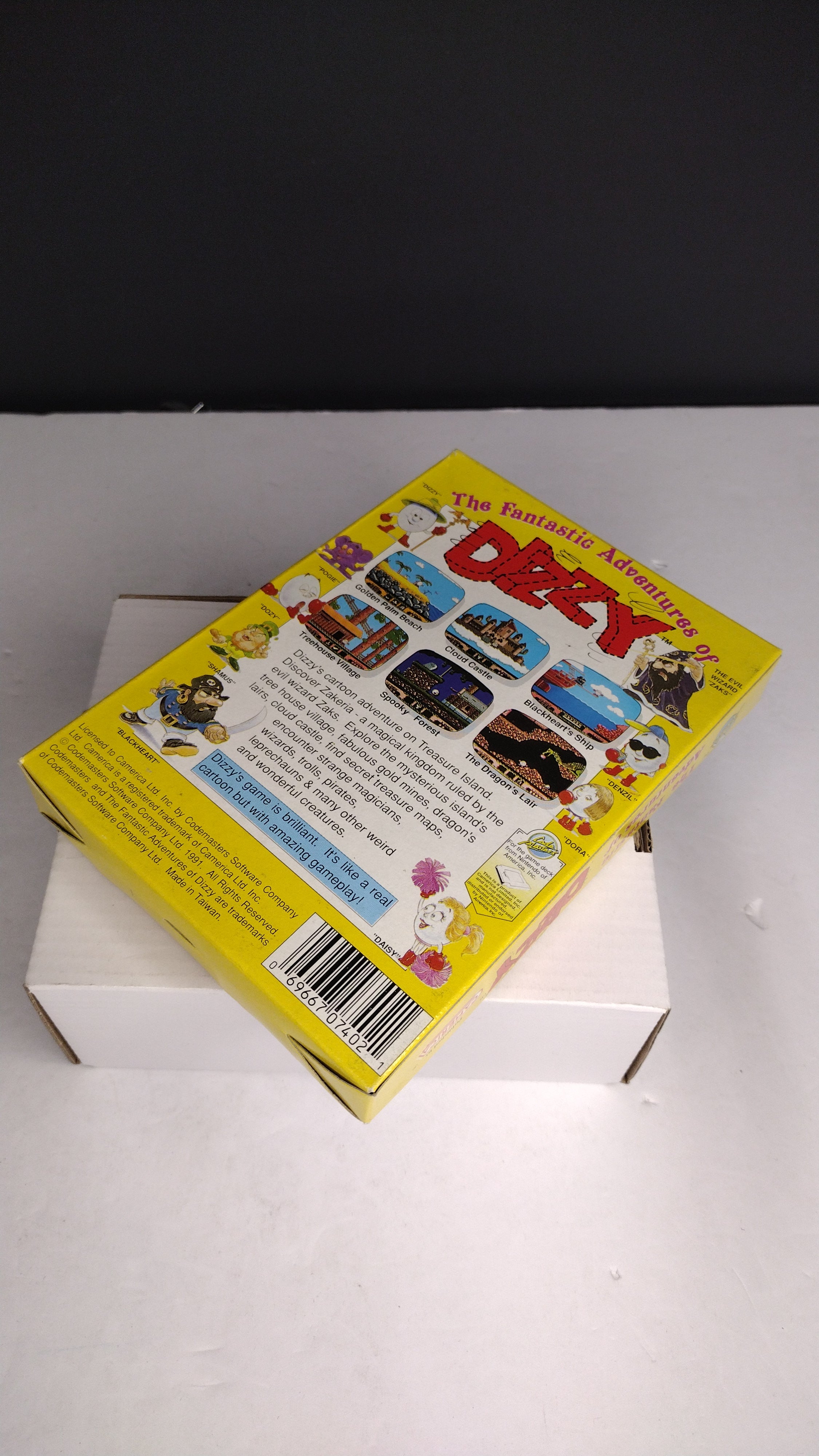 The Fantastic Adeventures of Dizzy: Nintendo  Authentic Box & Manual ONLY