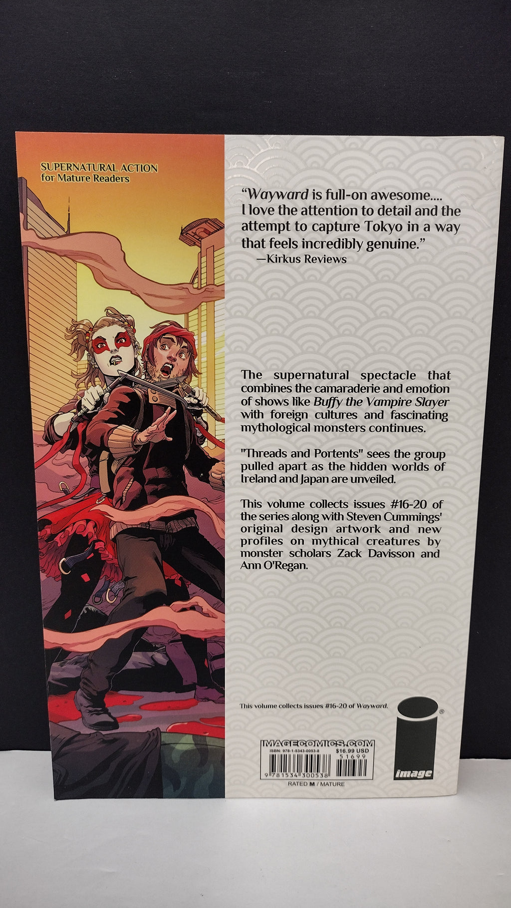 (MATURE) Wayward, Volume 4: Threads and Portents by Jim Zub - New Paperback