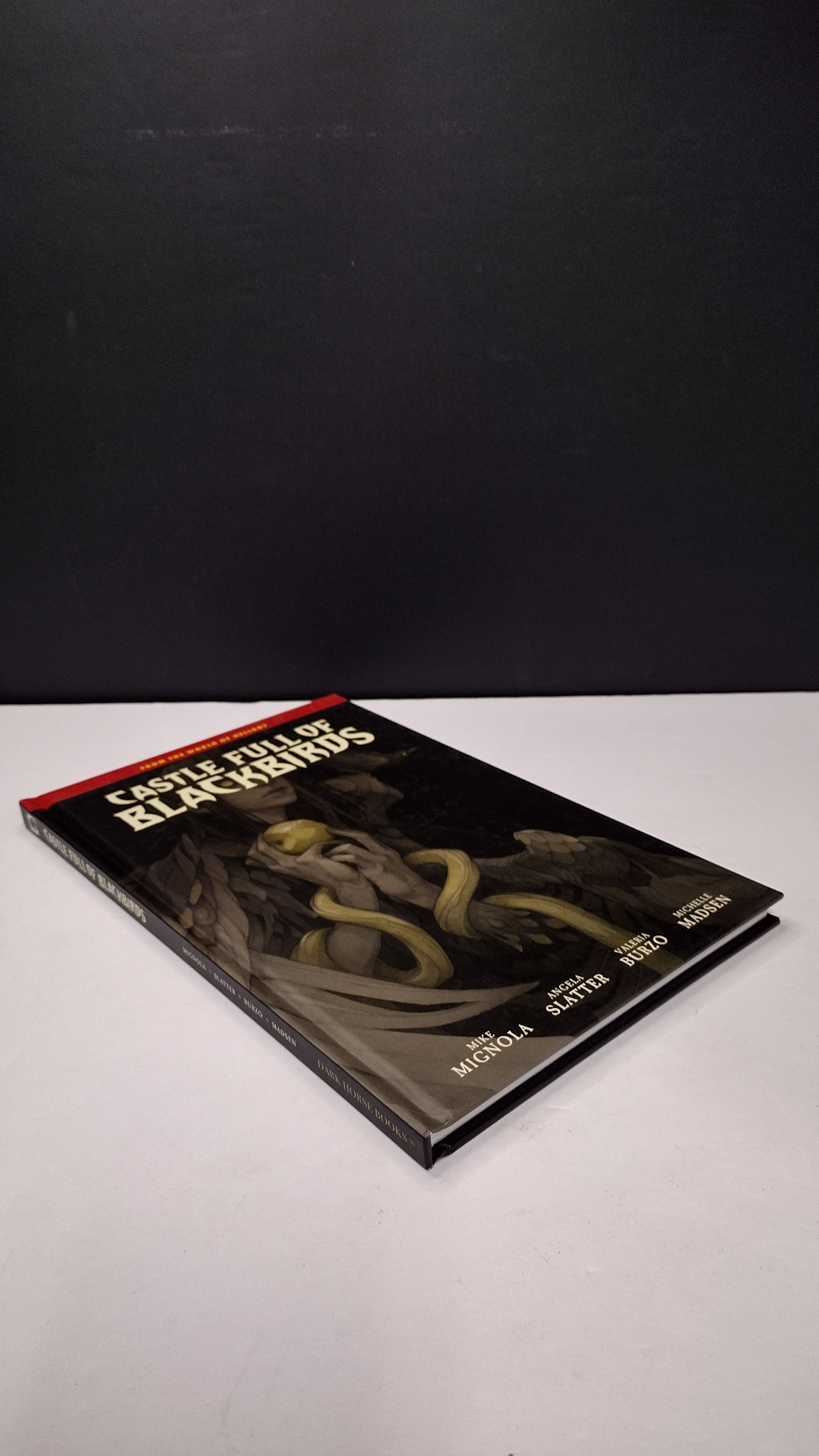 Castle Full of Blackbirds by Mike Mignola & Angela Slatter – Deluxe Hardcover