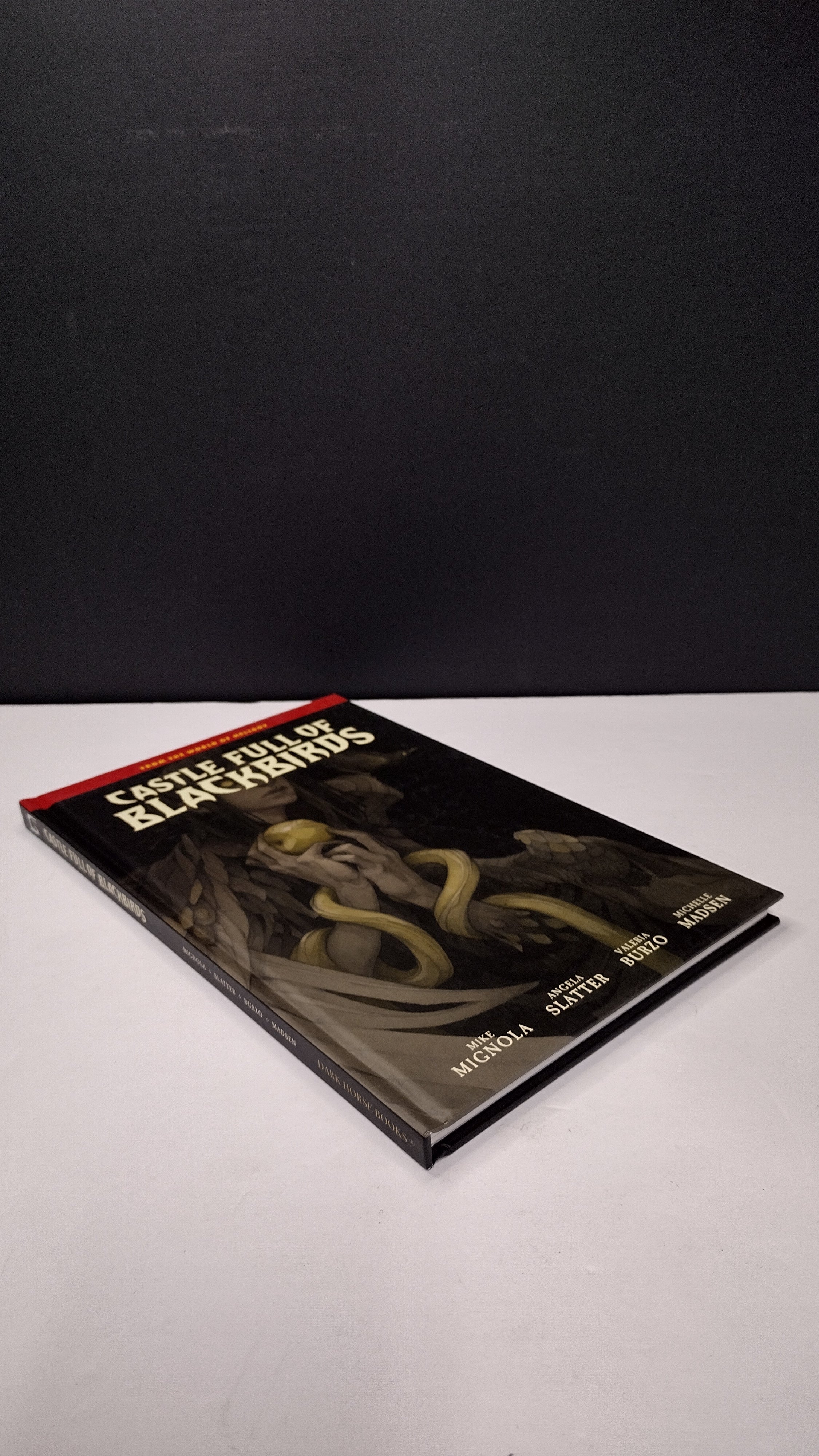 Castle Full of Blackbirds by Mike Mignola & Angela Slatter – Deluxe Hardcover