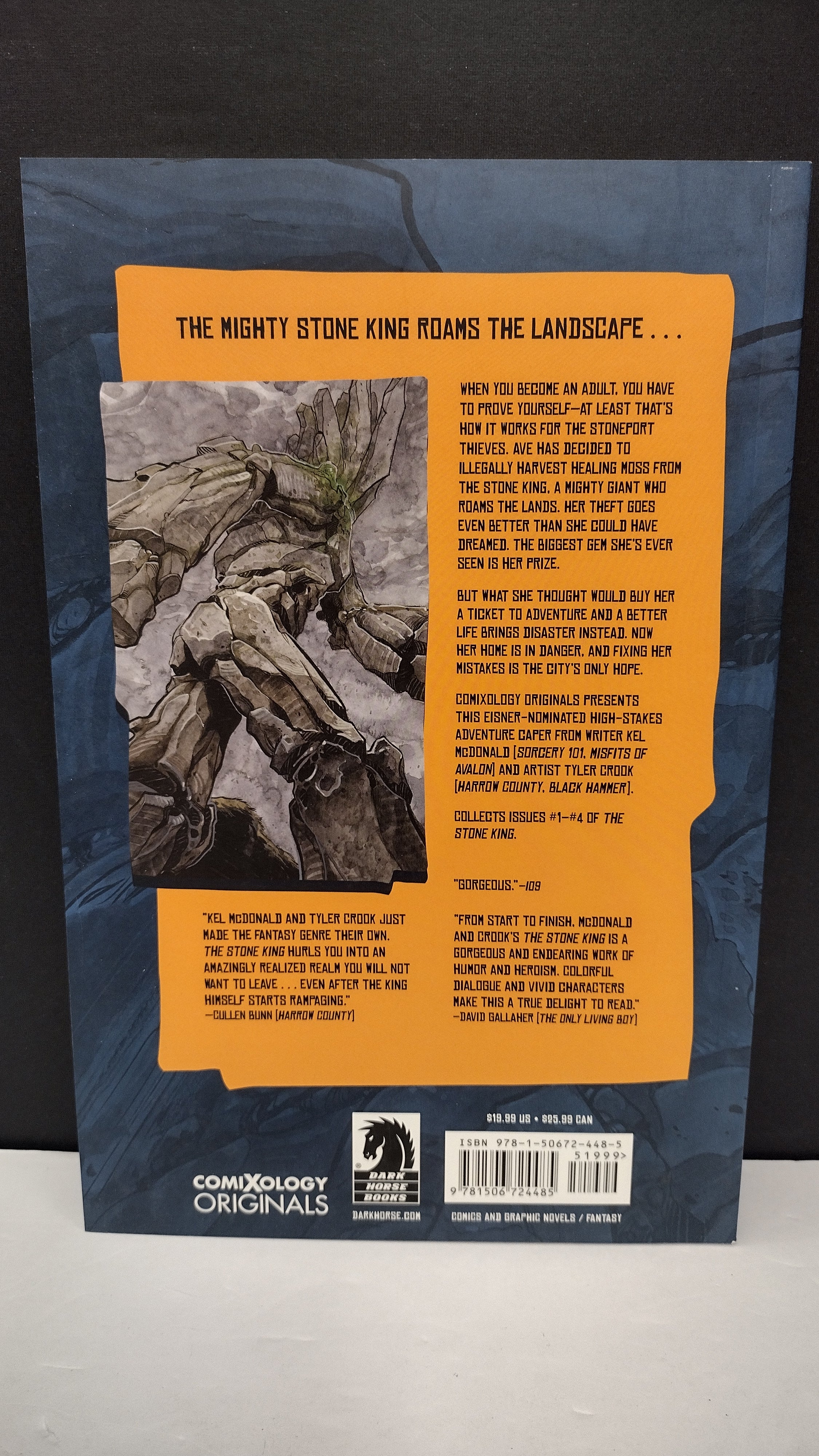 The Stone King by Kel McDonald & Tyler Crook – New Paperback
