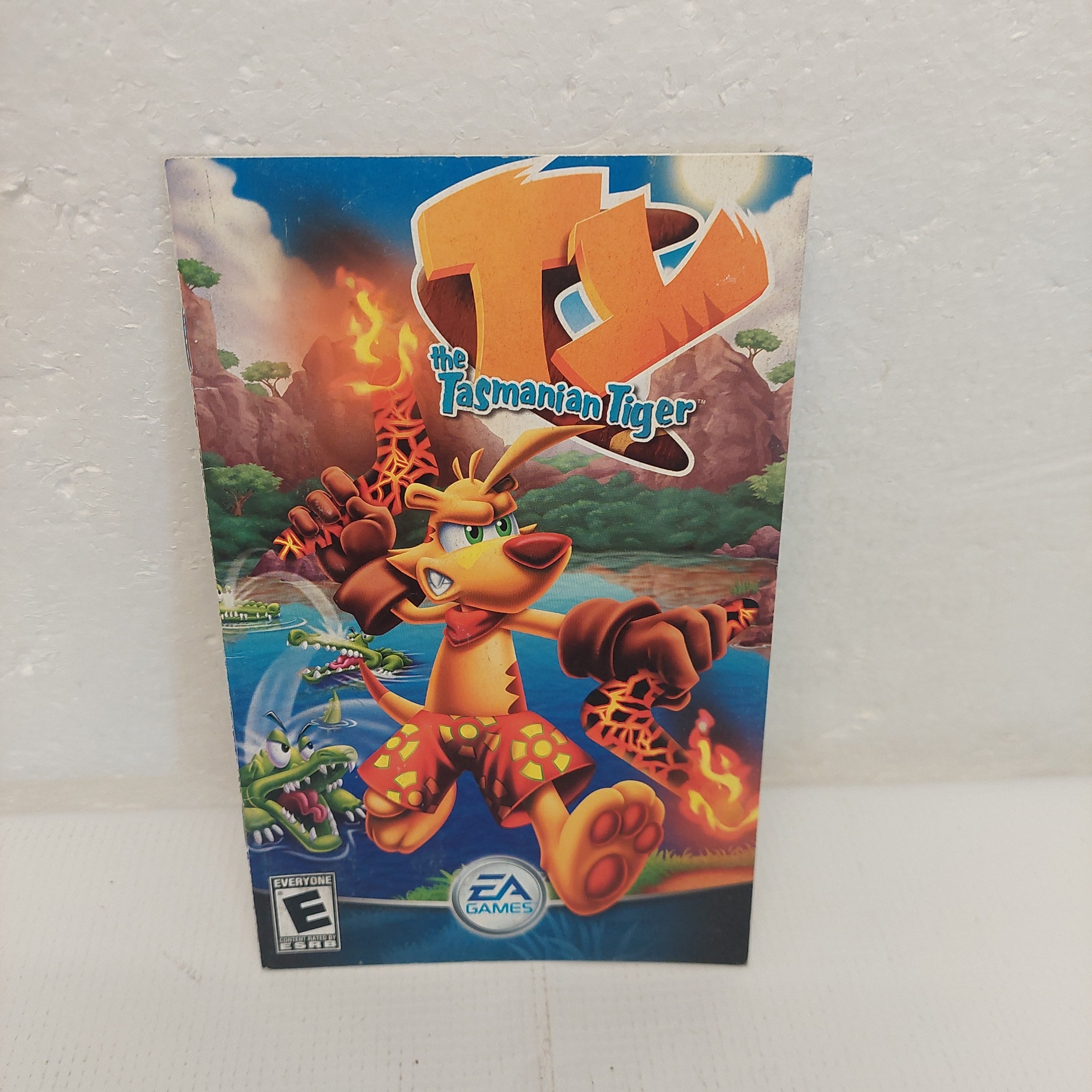 Lot of 12 Playstation 2 / PS2 Video Game Manuals